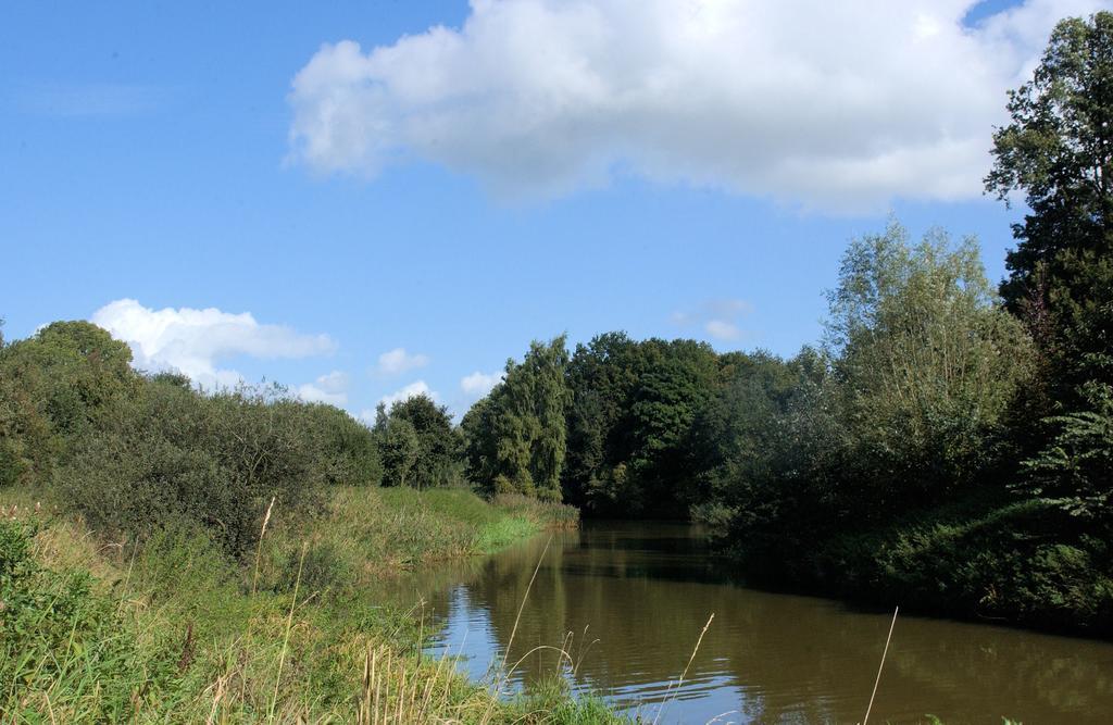 Hotel Hof Van 'S Gravenmoer 's-Gravenmoer Kültér fotó