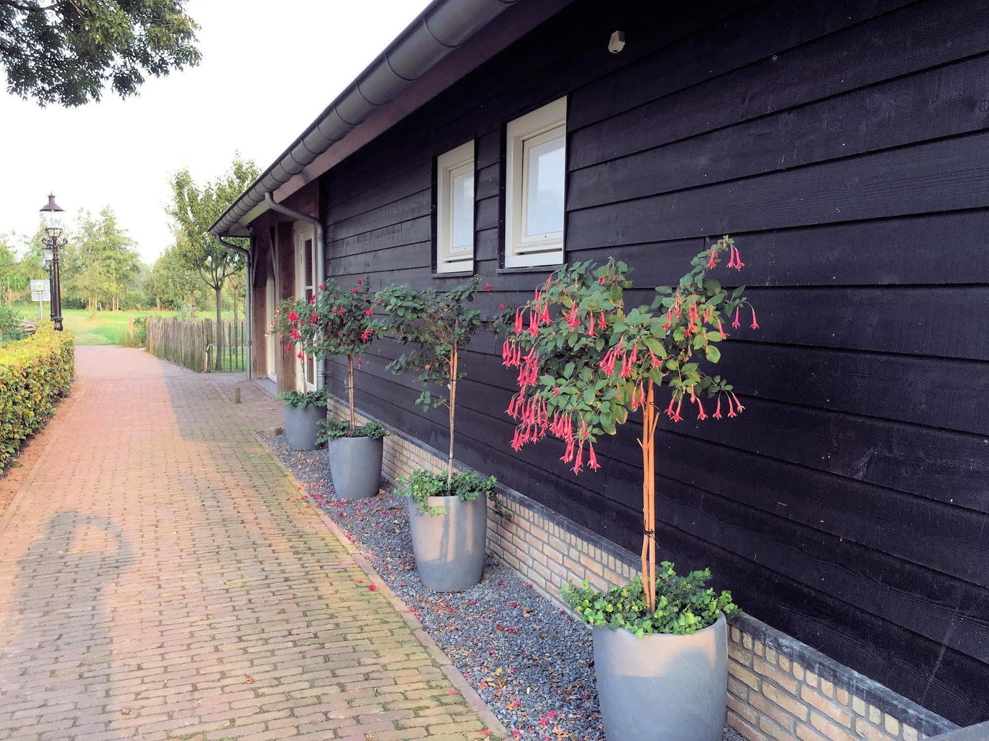 Hotel Hof Van 'S Gravenmoer 's-Gravenmoer Kültér fotó